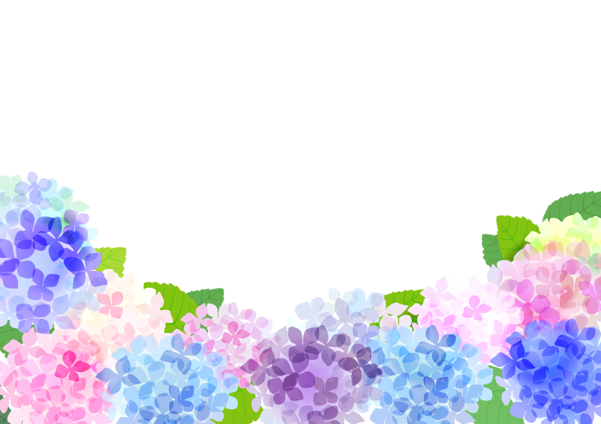 満開の紫陽花の花イラスト