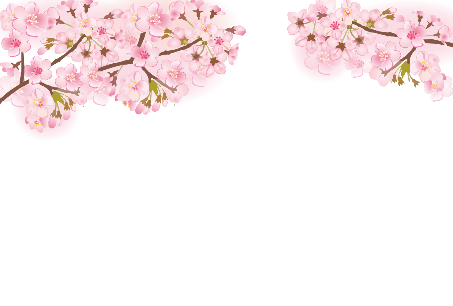 桜の花のフレーム・枠